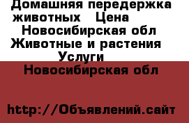 Домашняя передержка животных › Цена ­ 150 - Новосибирская обл. Животные и растения » Услуги   . Новосибирская обл.